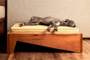 TENHA UM PET E NÃO ESTRAGUE SUA DECORAÇÃO